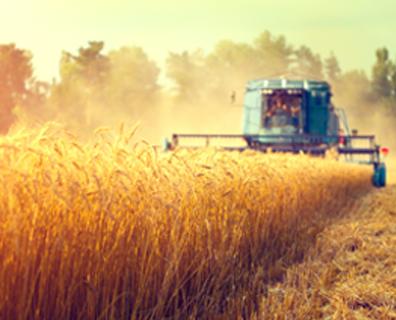 LOGISTIEK CENTRUM TEXEL |VOOR BEDRIJVEN OP TEXEL EN DE WADDEN